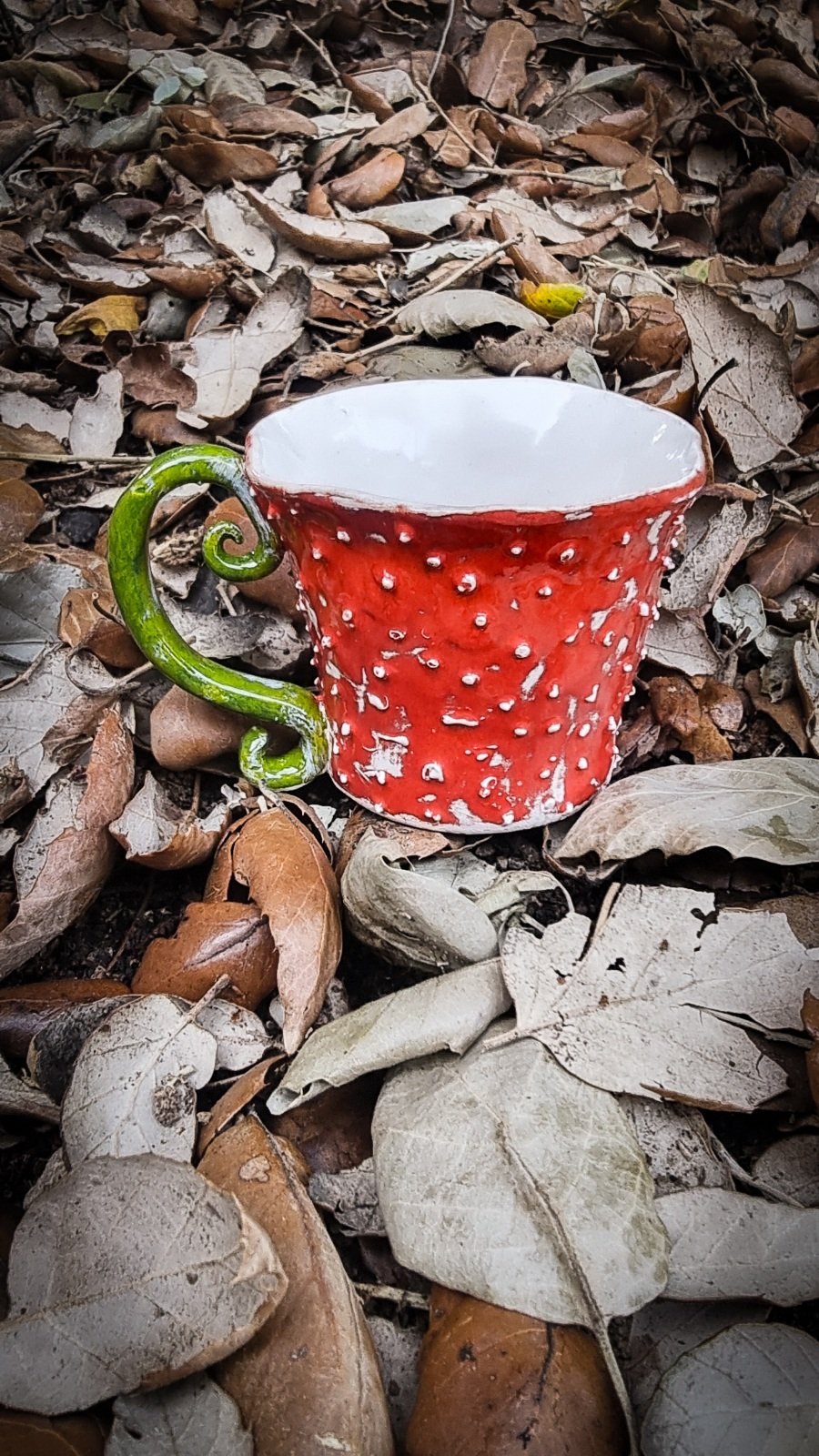 Taza Amanita Mod.4